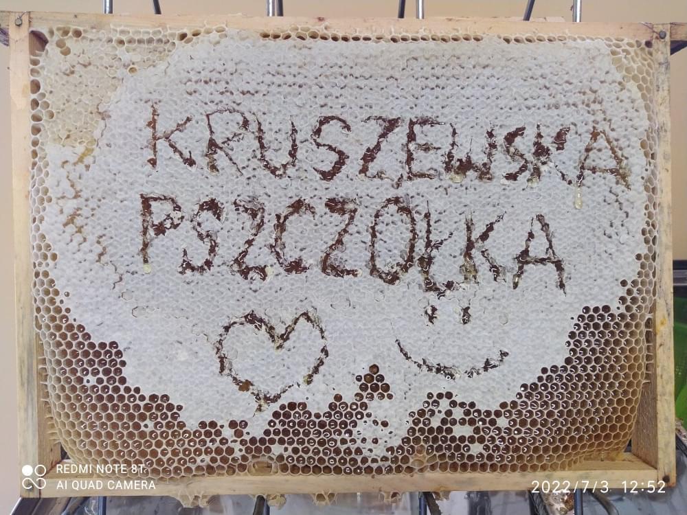 wydrążony napis kruszewska pszczółka w plastrze miodu