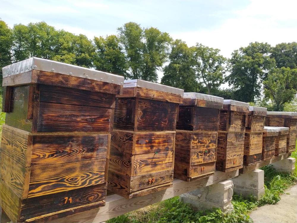 drewniane, niepomalowane farbą ule